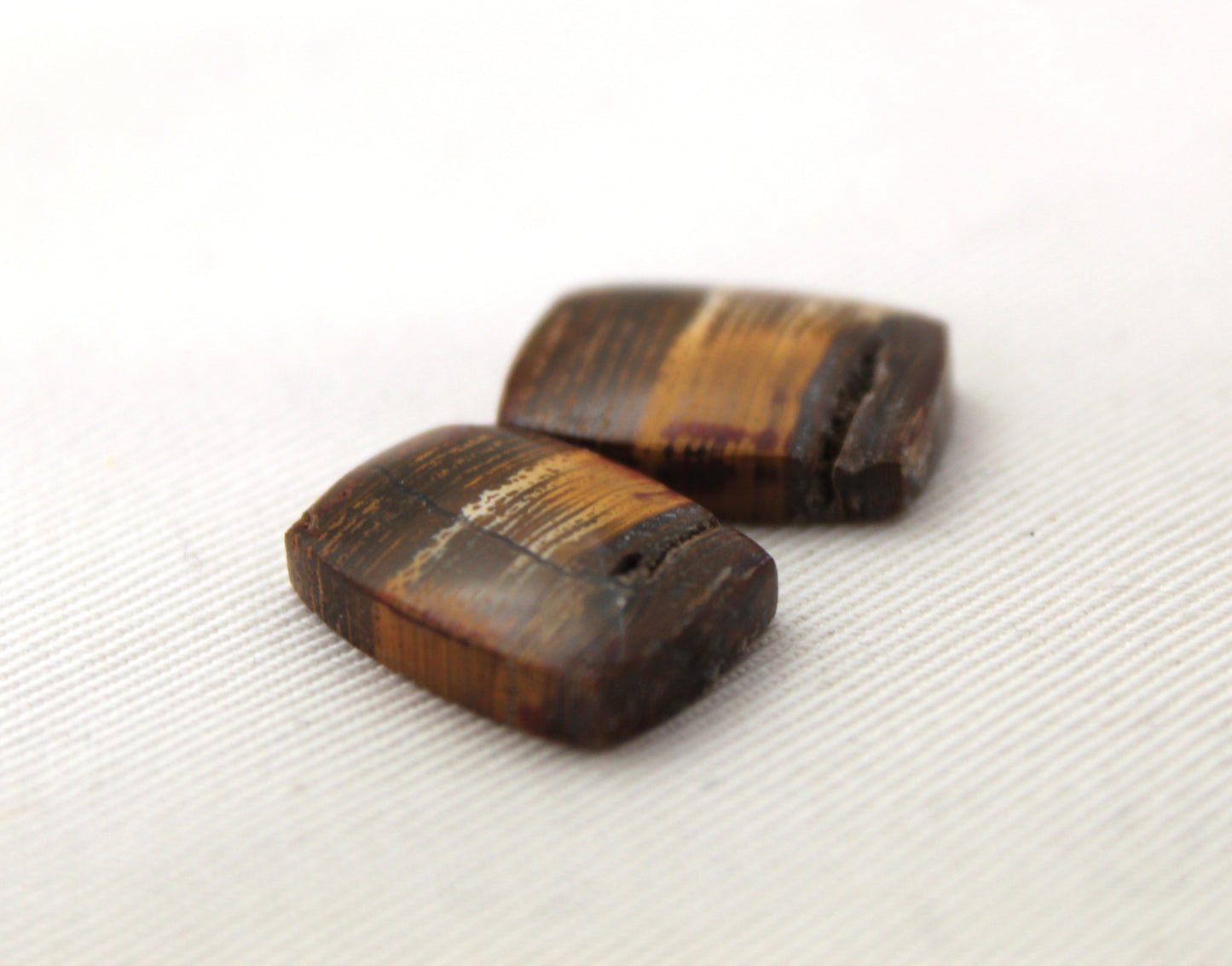 Small Petrified Wood Cabochon Pair natural gemstones