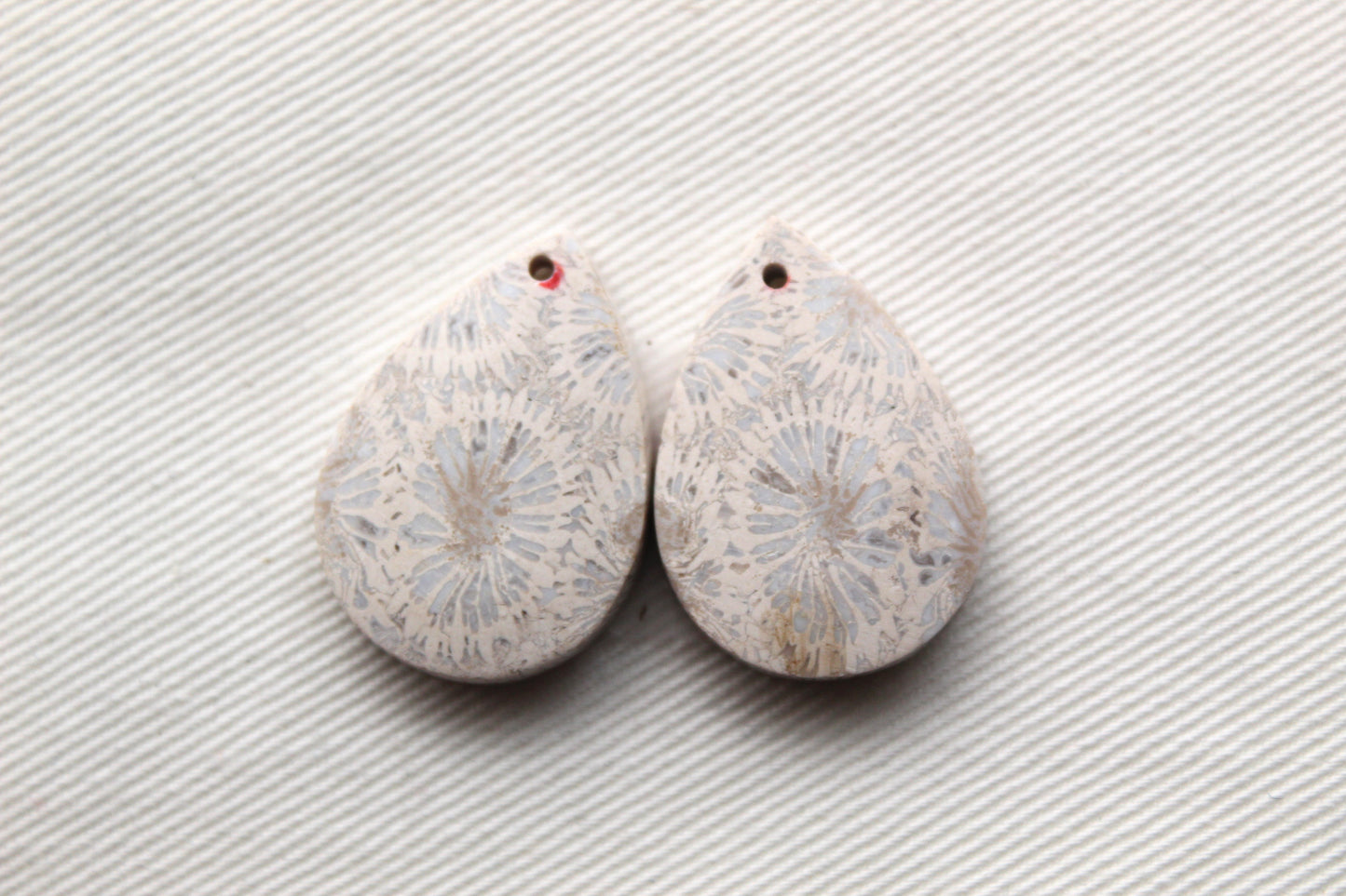 Fossilized Coral Pair of Gemstones cabochon teardrop DRILLED