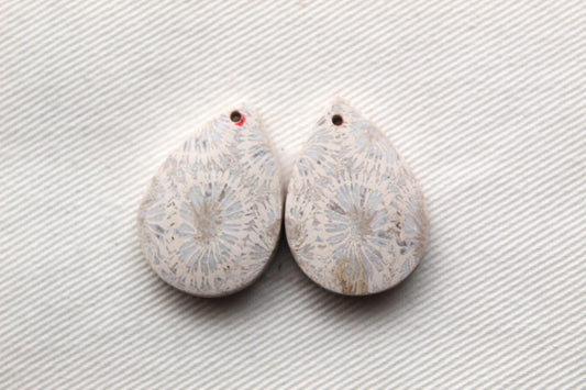 Fossilized Coral Pair of Gemstones cabochon teardrop DRILLED