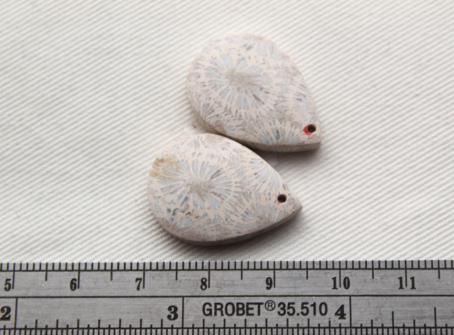 Fossilized Coral Pair of Gemstones cabochon teardrop DRILLED