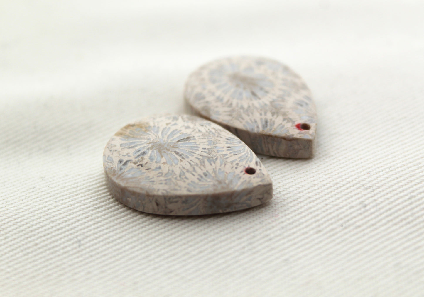 Fossilized Coral Pair of Gemstones cabochon teardrop DRILLED