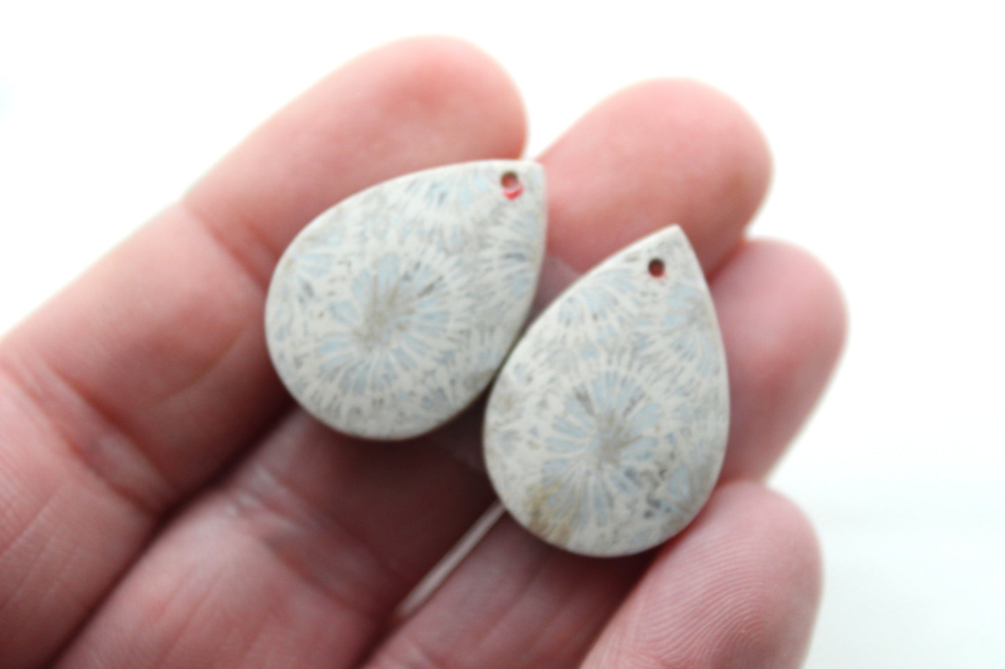 Fossilized Coral Pair of Gemstones cabochon teardrop DRILLED