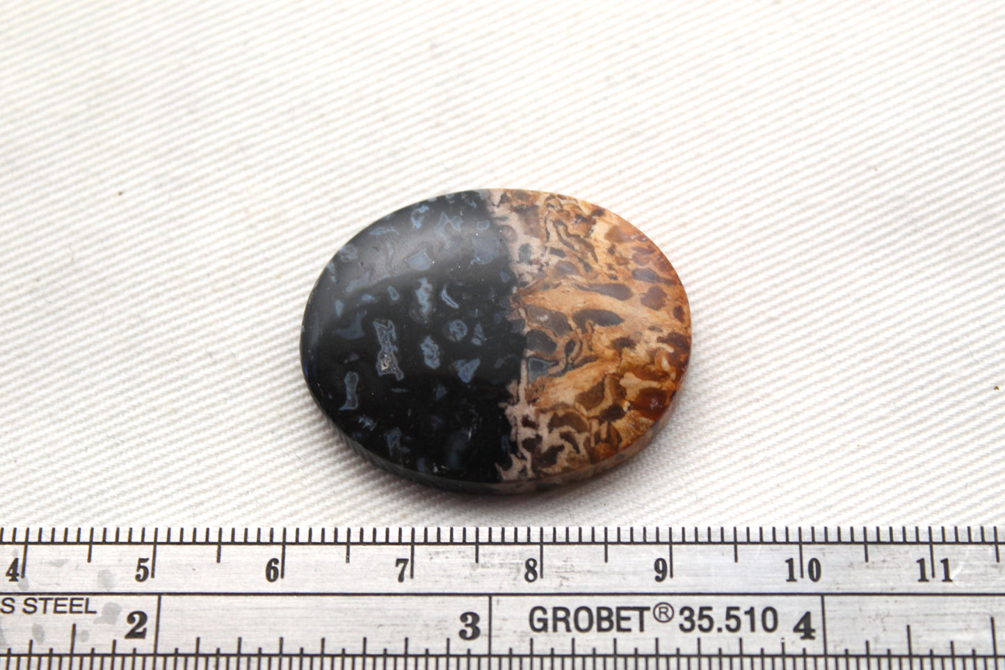 Fossil Palm Root Cabochon Gemstone black and beige