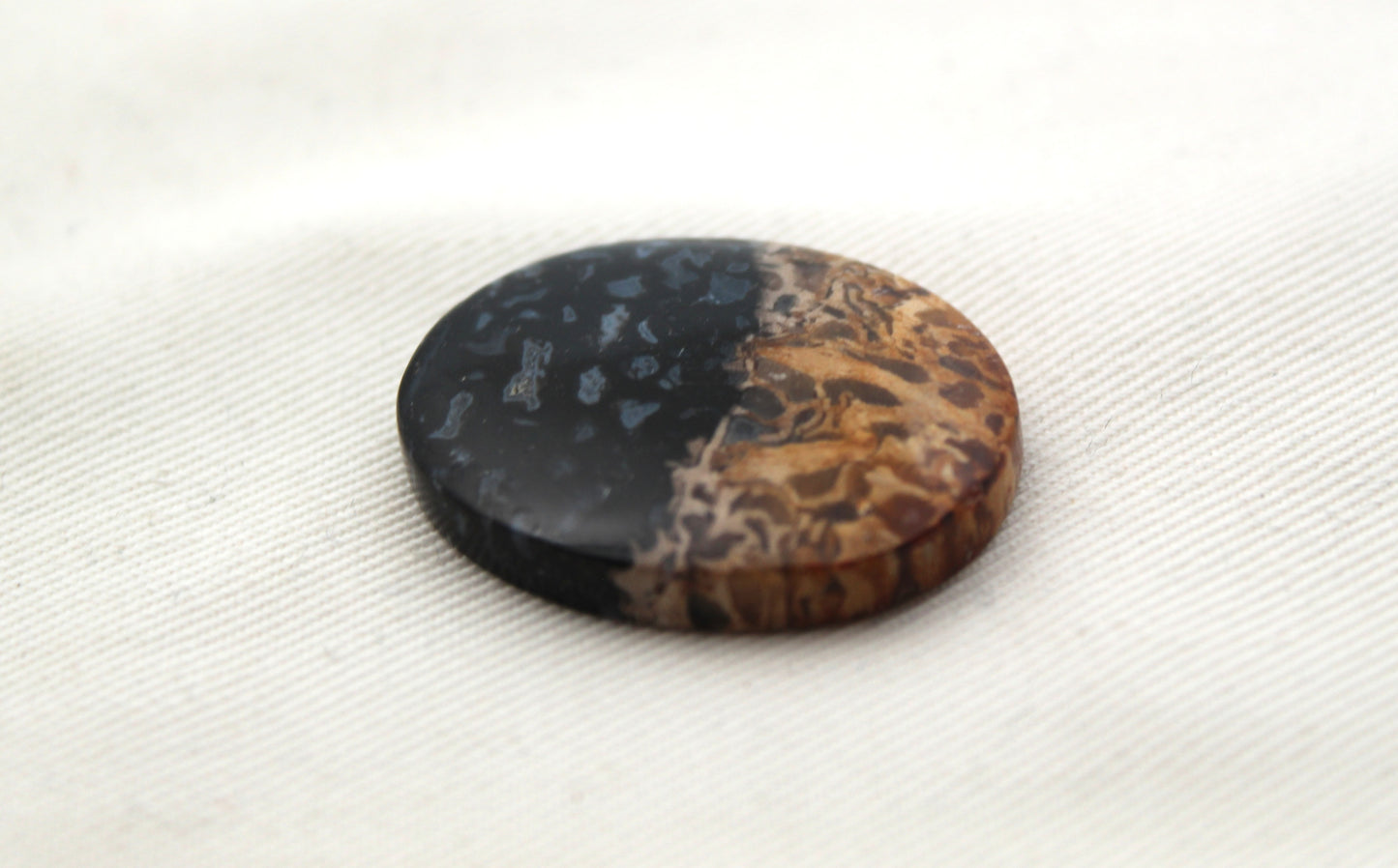 Fossil Palm Root Cabochon Gemstone black and beige