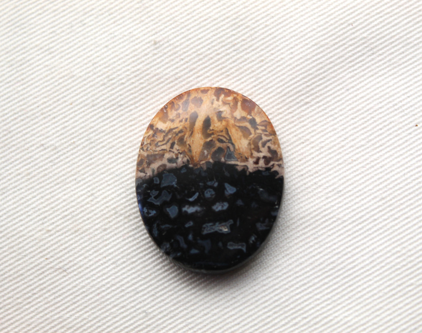 Fossil Palm Root Cabochon Gemstone black and beige