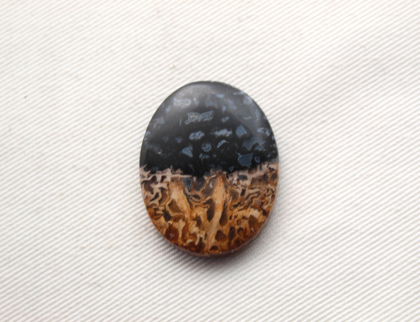 Fossil Palm Root Cabochon Gemstone black and beige