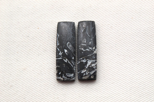Black Palm Root Cabochon Pair natural gemstones rectangle