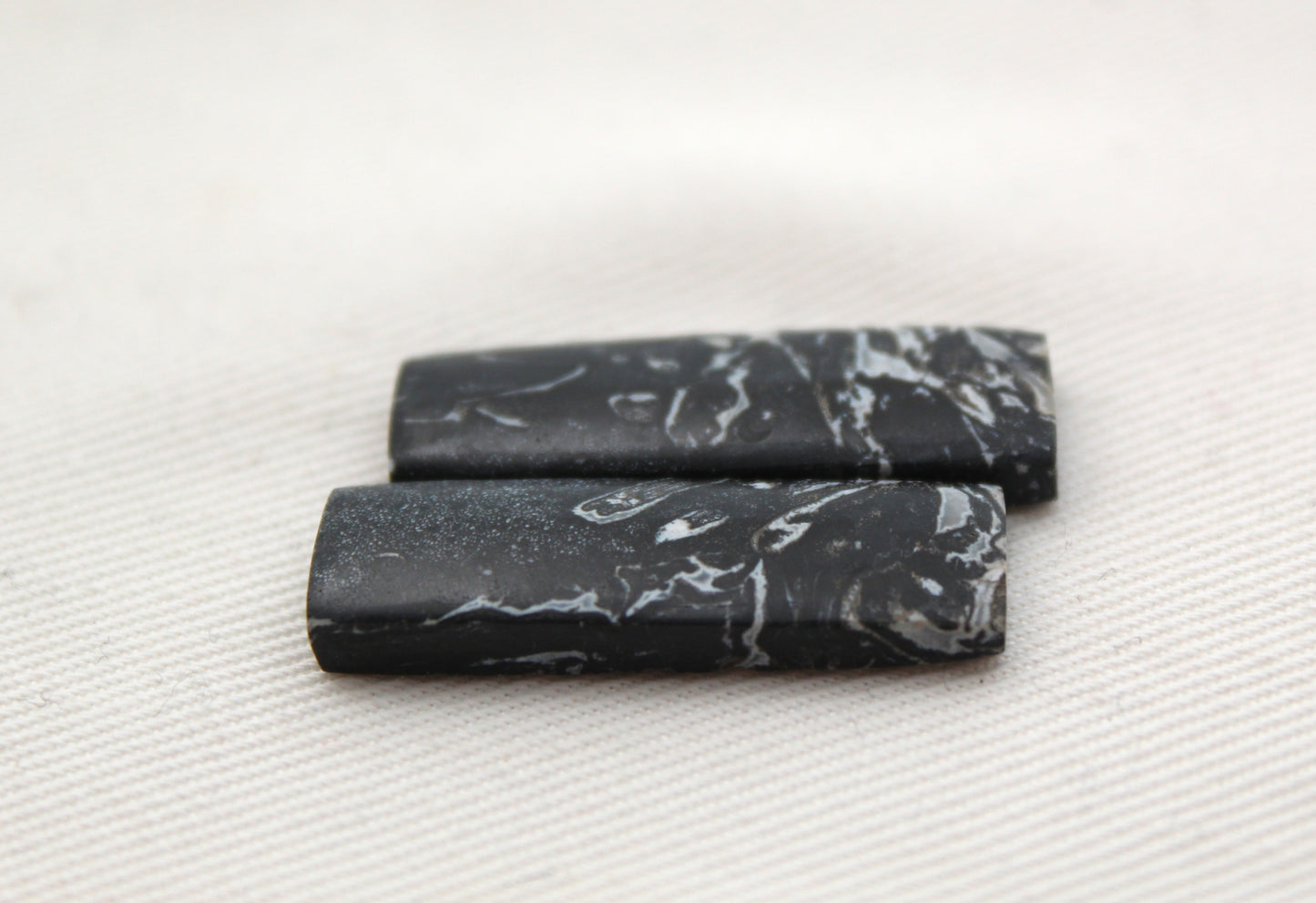 Black Palm Root Cabochon Pair natural gemstones rectangle