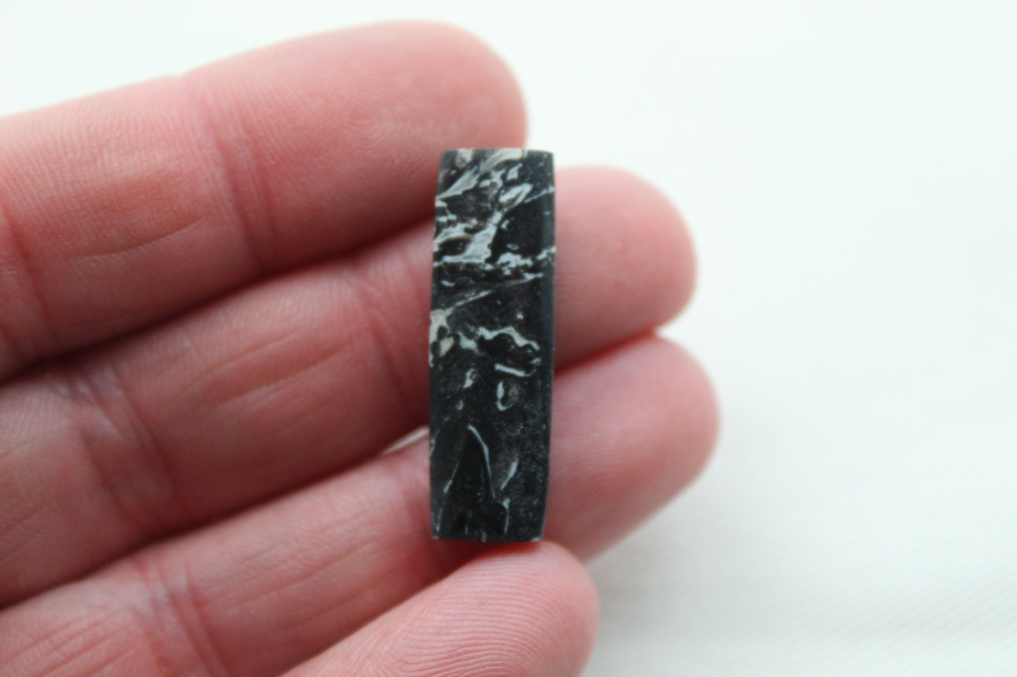 Black Palm Root Cabochon Pair natural gemstones rectangle
