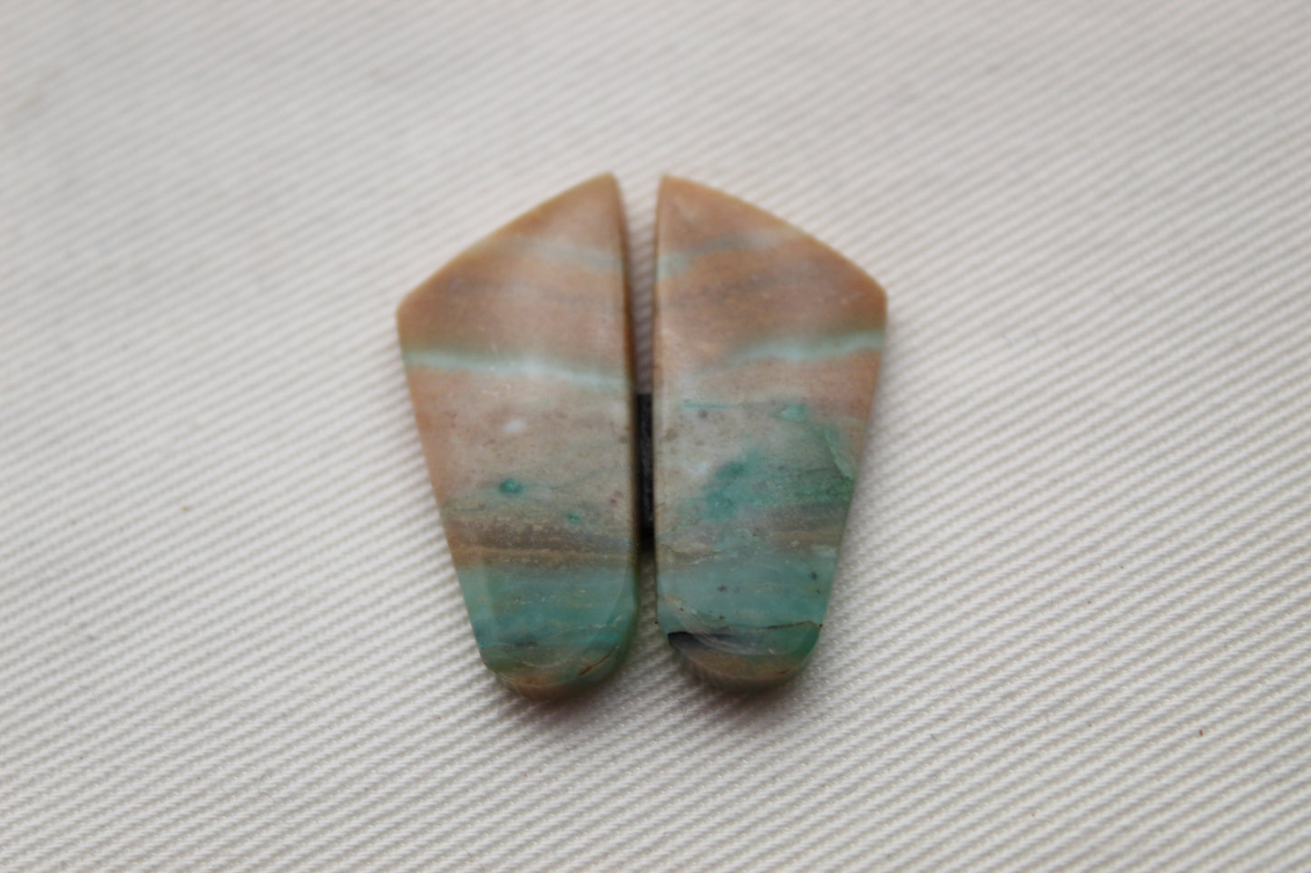 Paire de cabochons en bois pétrifié opalisé pierre gemme bleu vert