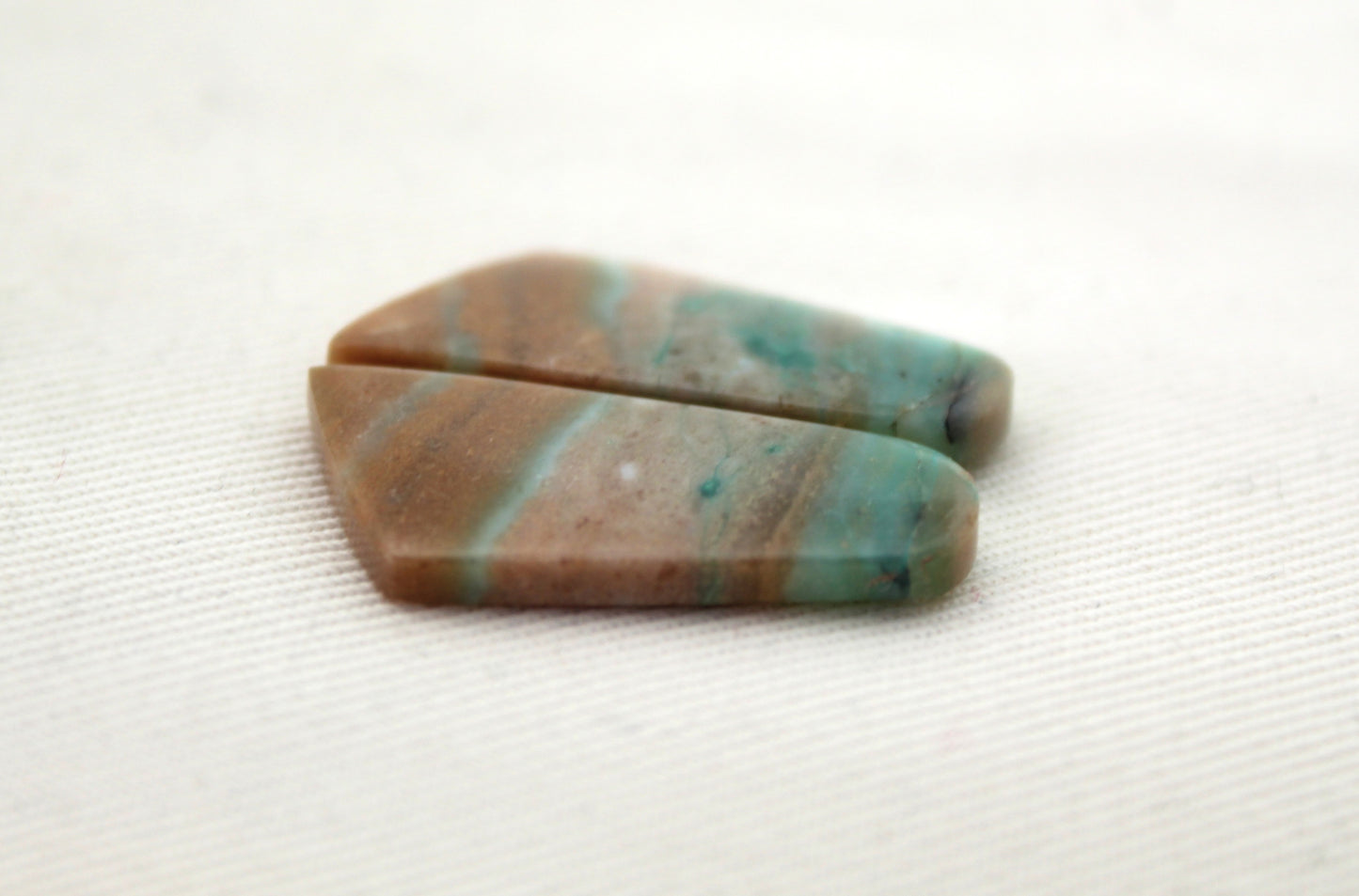 Paire de cabochons en bois pétrifié opalisé pierre gemme bleu vert
