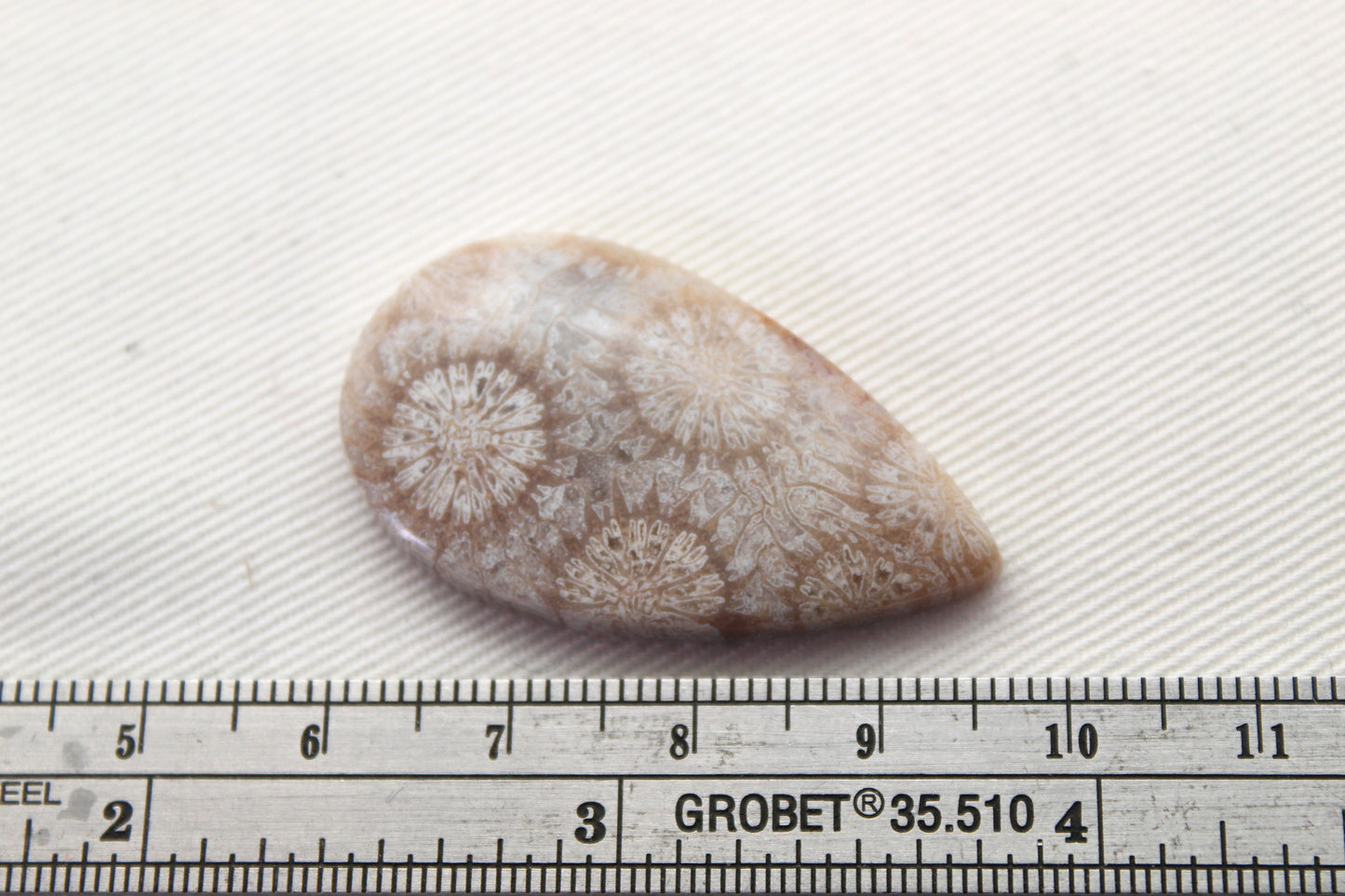 Fossilized Coral Gemstone Teardrop cabochon