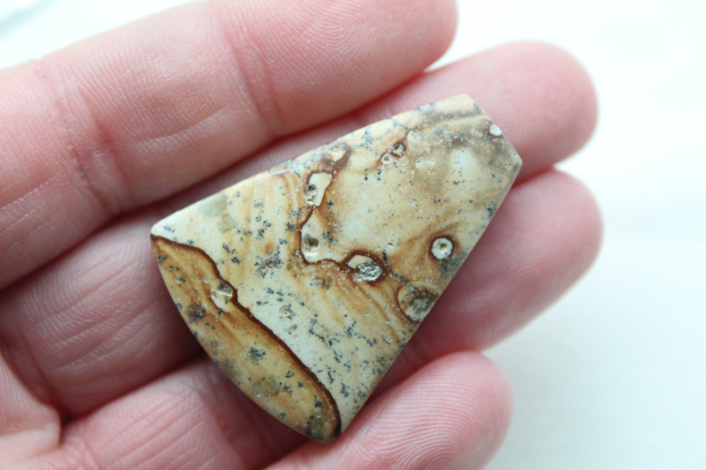 Large Picture Jasper Cabochon