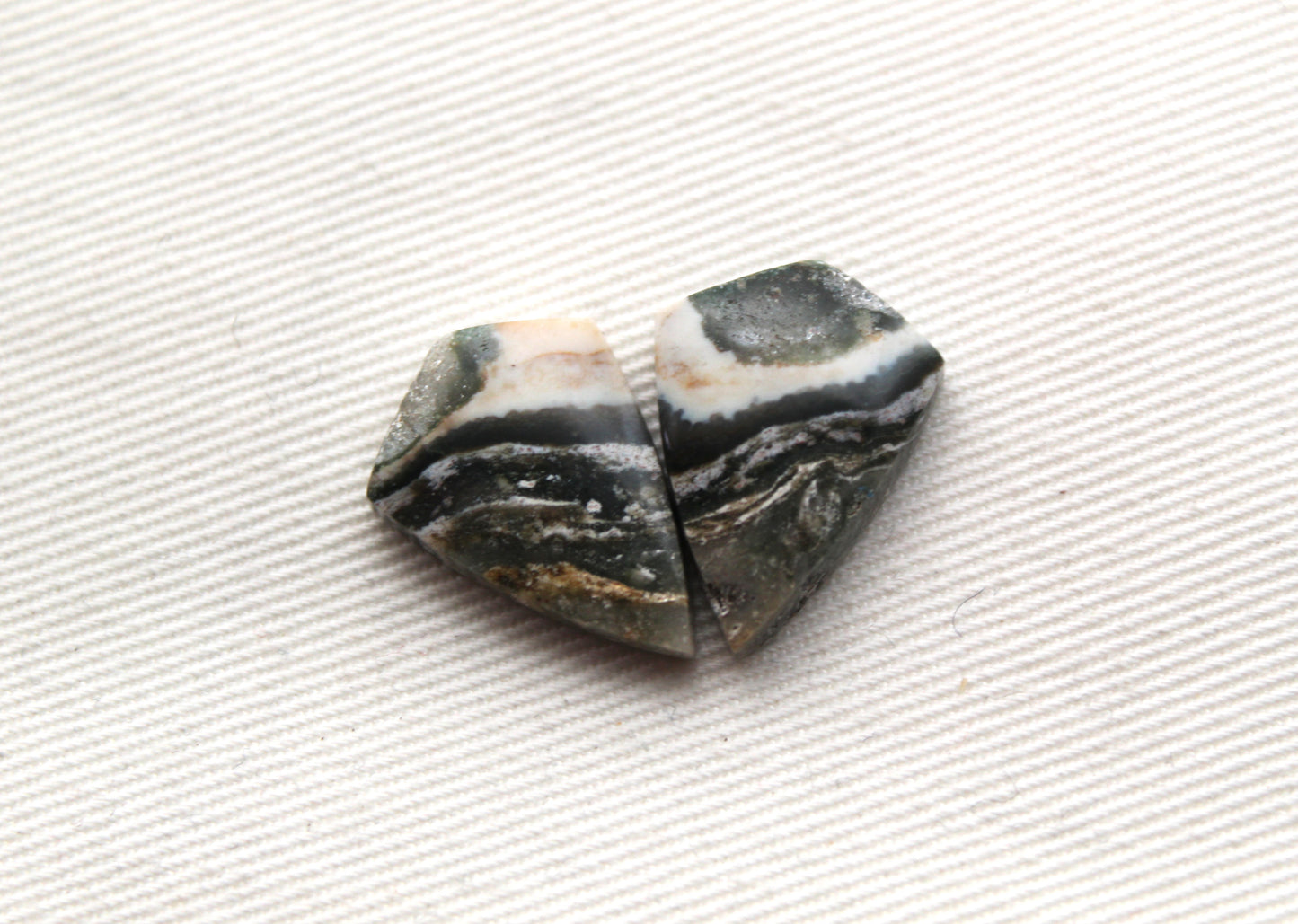 Small Petrified Wood Cabochon Pair natural gemstones