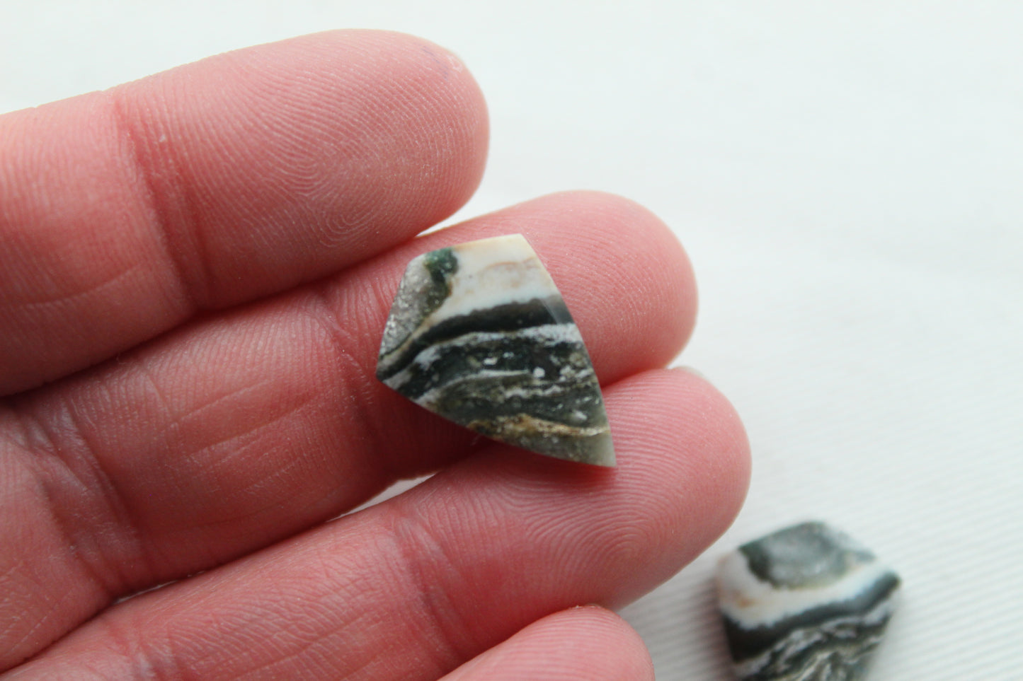 Small Petrified Wood Cabochon Pair natural gemstones