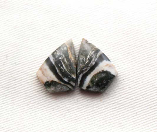 Small Petrified Wood Cabochon Pair natural gemstones