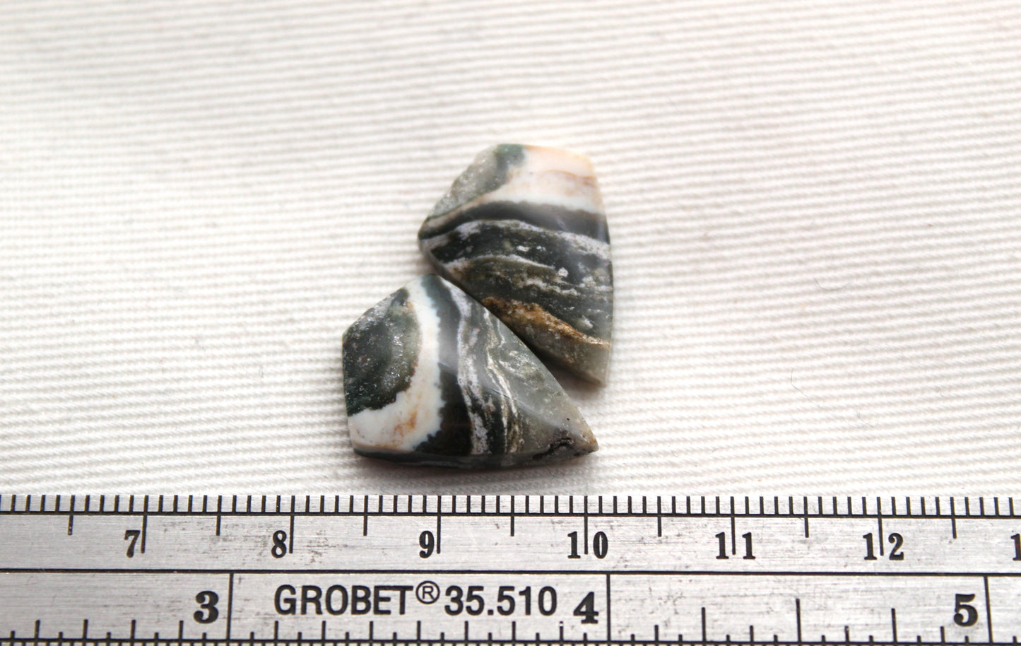 Small Petrified Wood Cabochon Pair natural gemstones