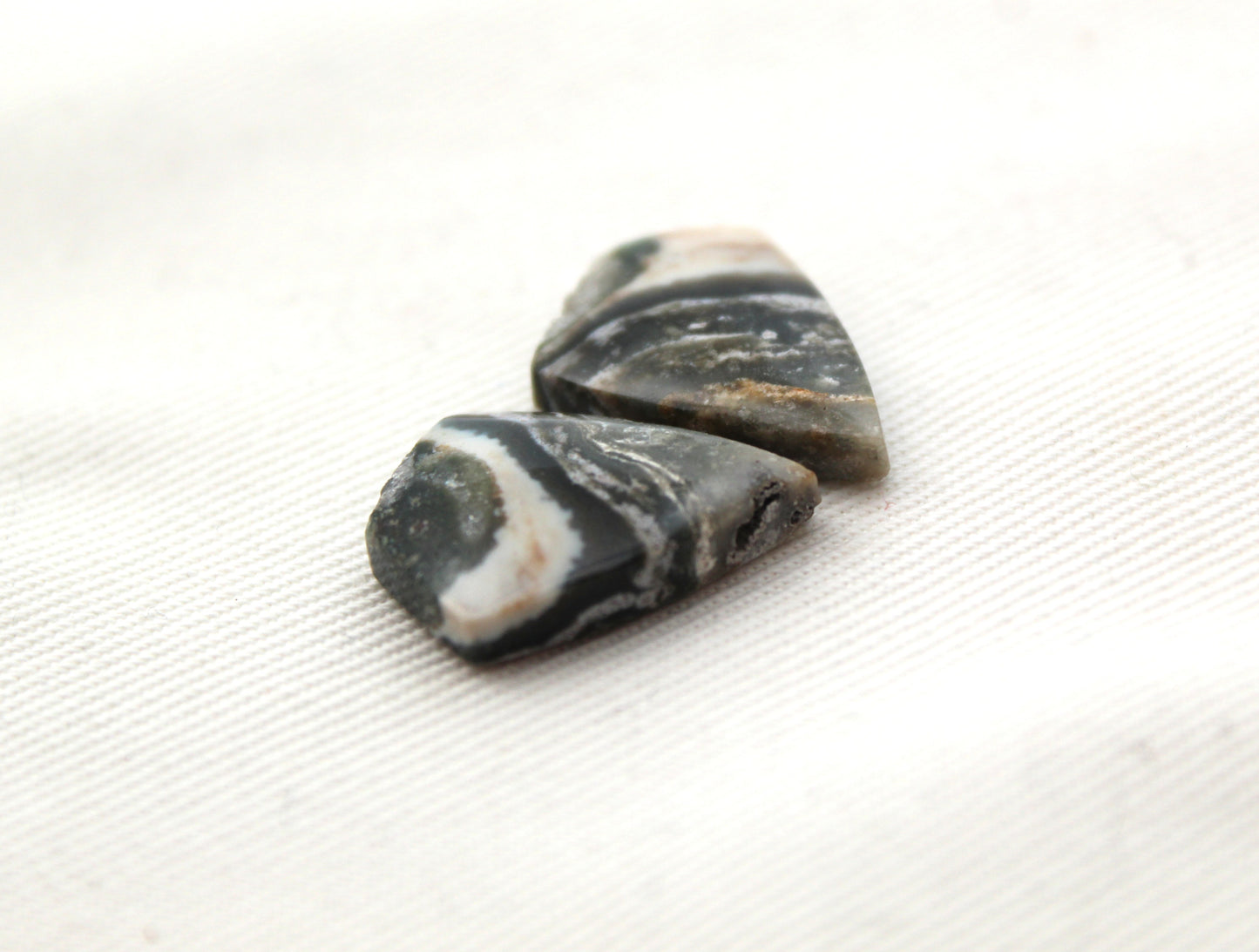 Small Petrified Wood Cabochon Pair natural gemstones