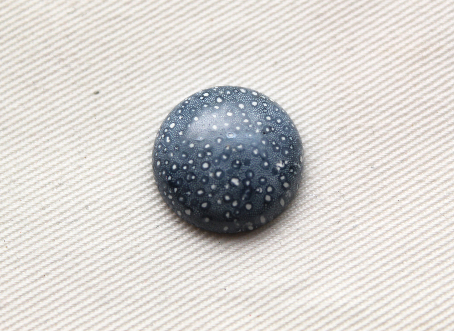 Pierre précieuse de corail éponge bleu 15X20MM ovale