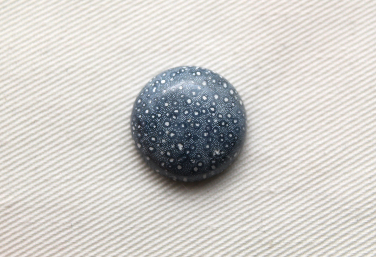 Pierre précieuse de corail éponge bleu 15X20MM ovale