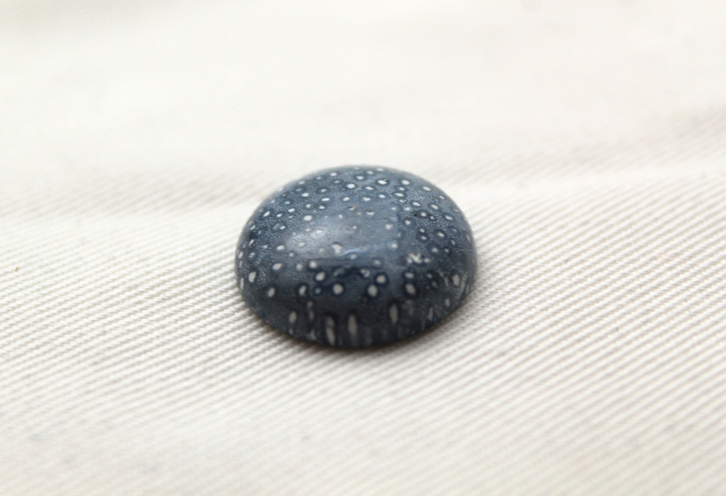 Pierre précieuse de corail éponge bleu 15X20MM ovale