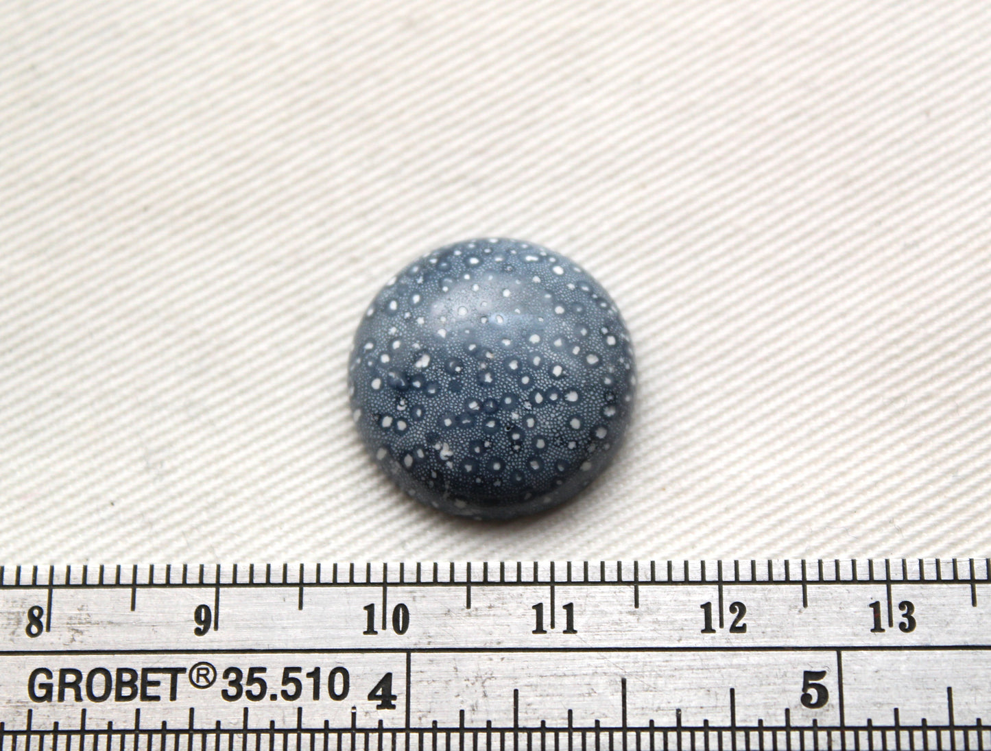 Pierre précieuse de corail éponge bleu 15X20MM ovale