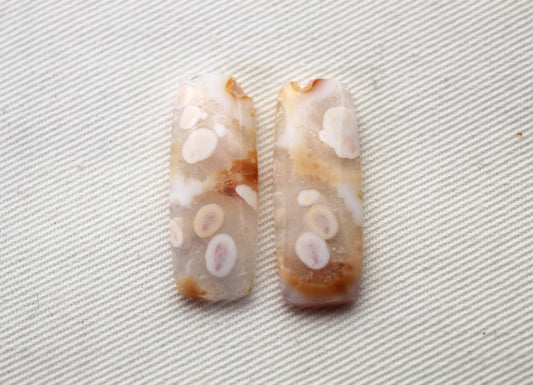 UNIQUE Orbicular Agate Cabochons Pair Gemstone natural