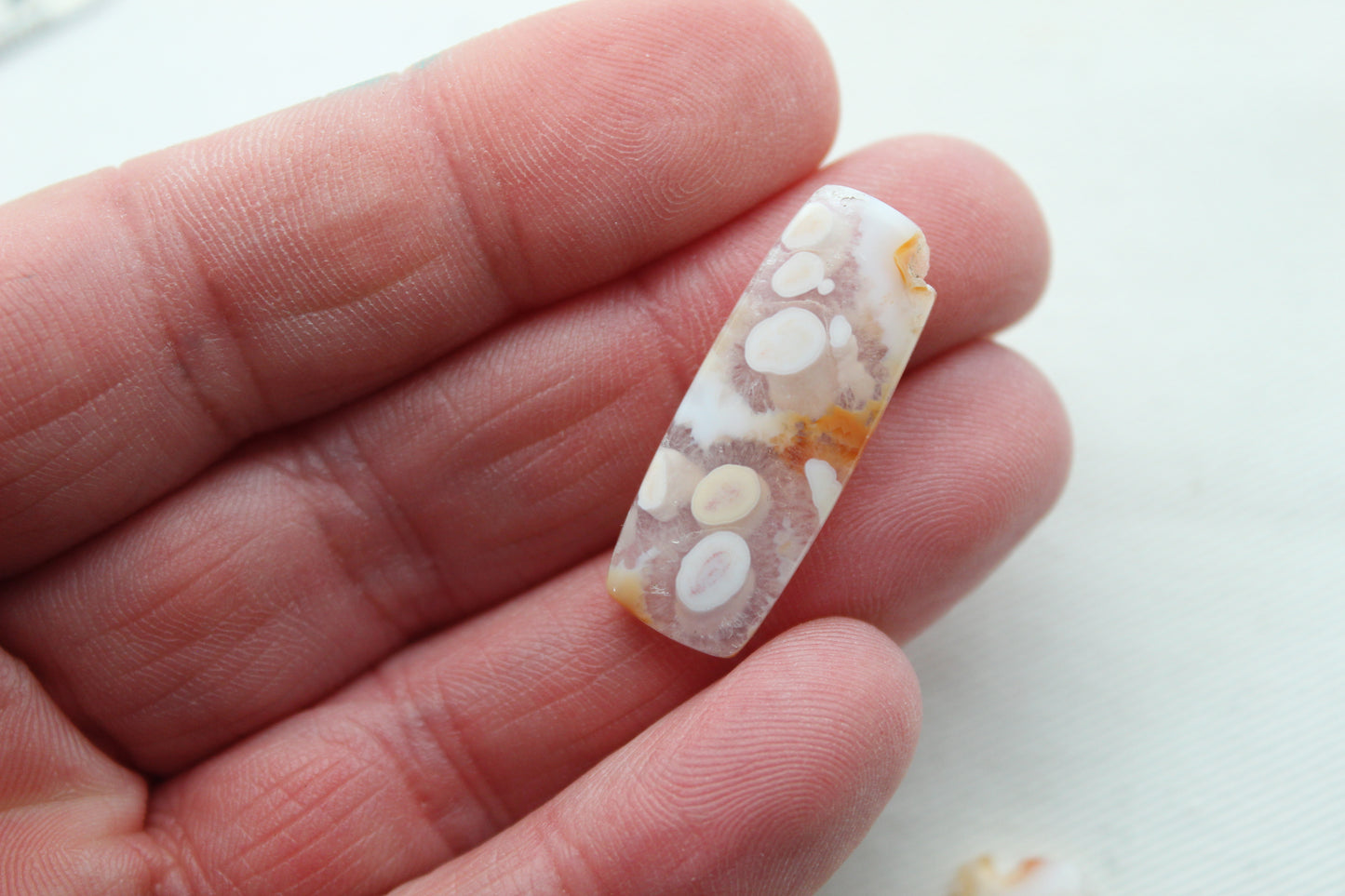 UNIQUE Orbicular Agate Cabochons Pair Gemstone natural