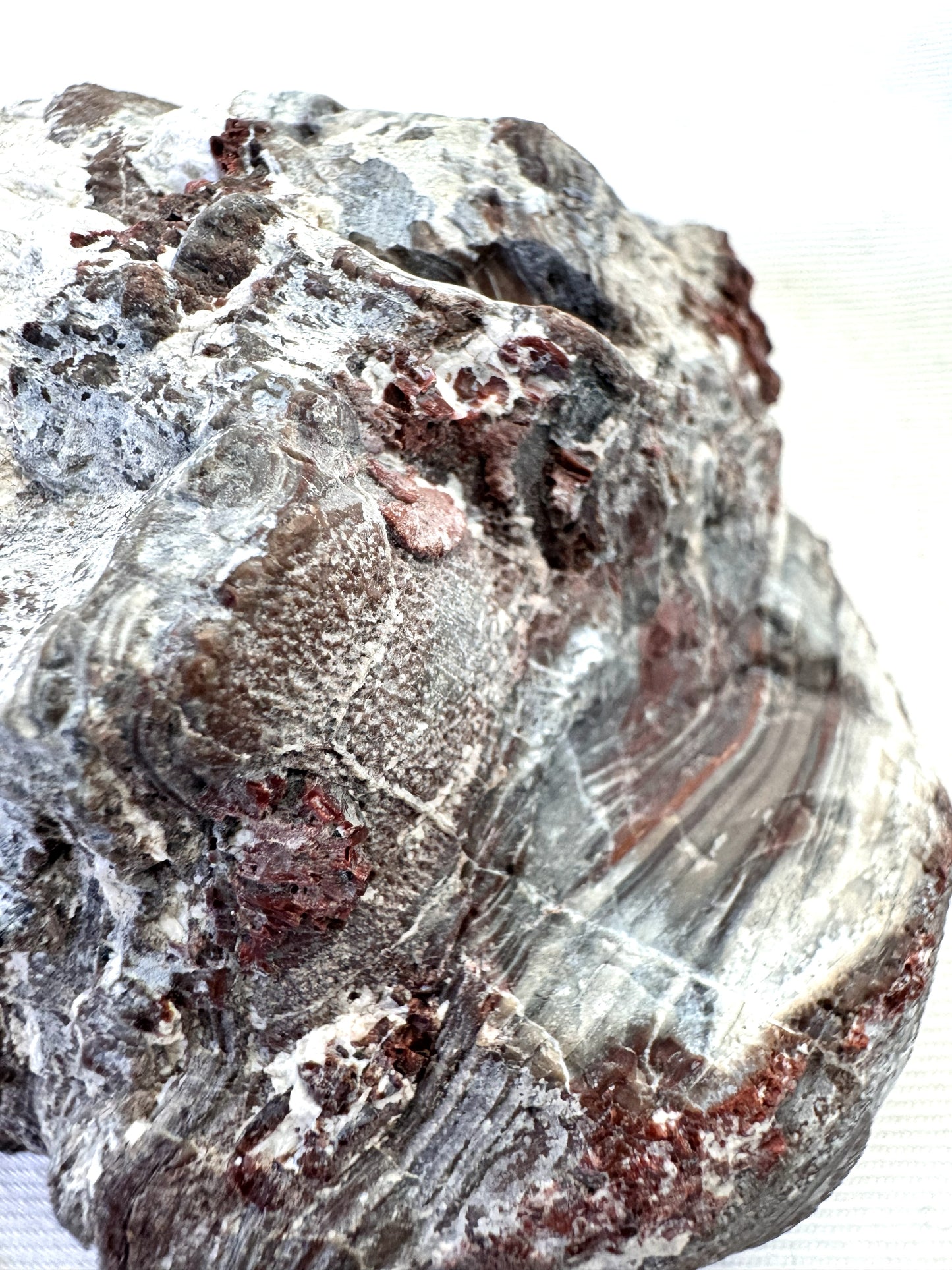 Thunder egg fluorescent Nodule polished Half nodule