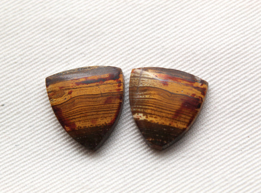 Small Petrified Wood Cabochon Pair natural gemstones