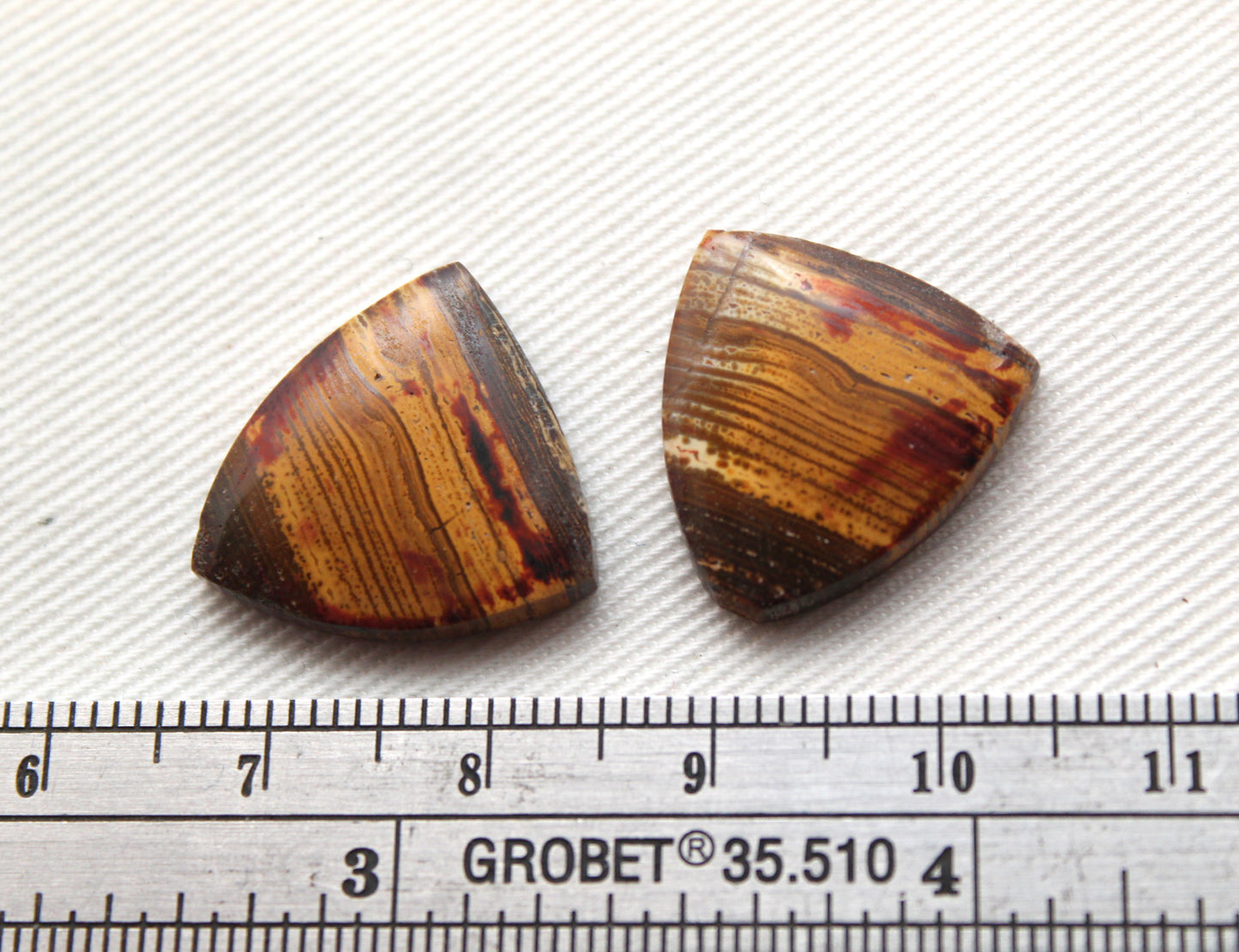 Small Petrified Wood Cabochon Pair natural gemstones