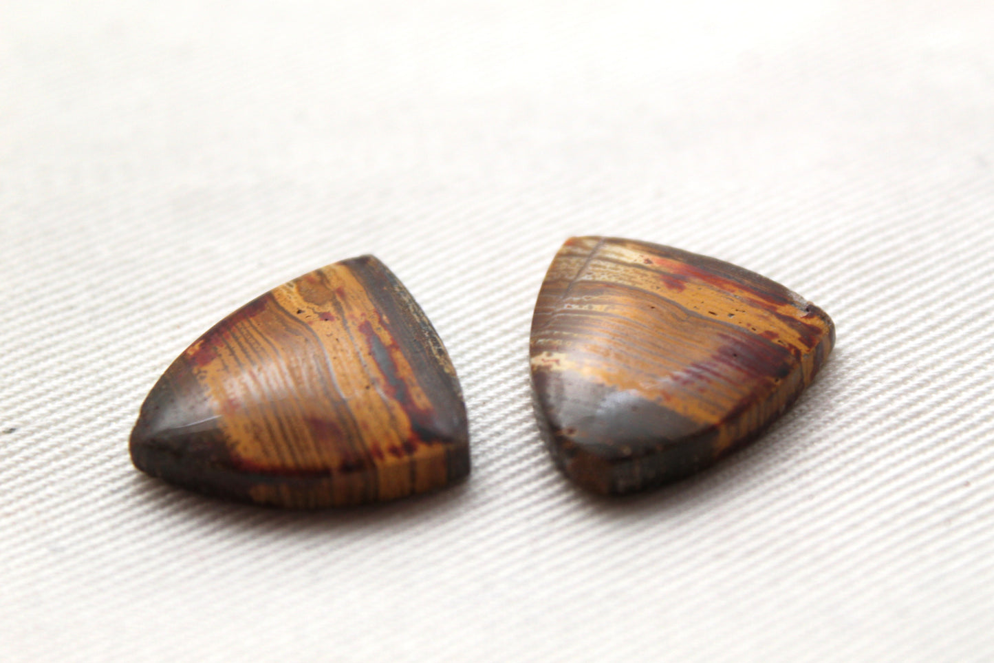 Small Petrified Wood Cabochon Pair natural gemstones