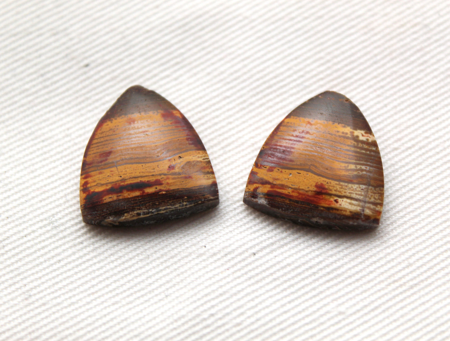 Small Petrified Wood Cabochon Pair natural gemstones