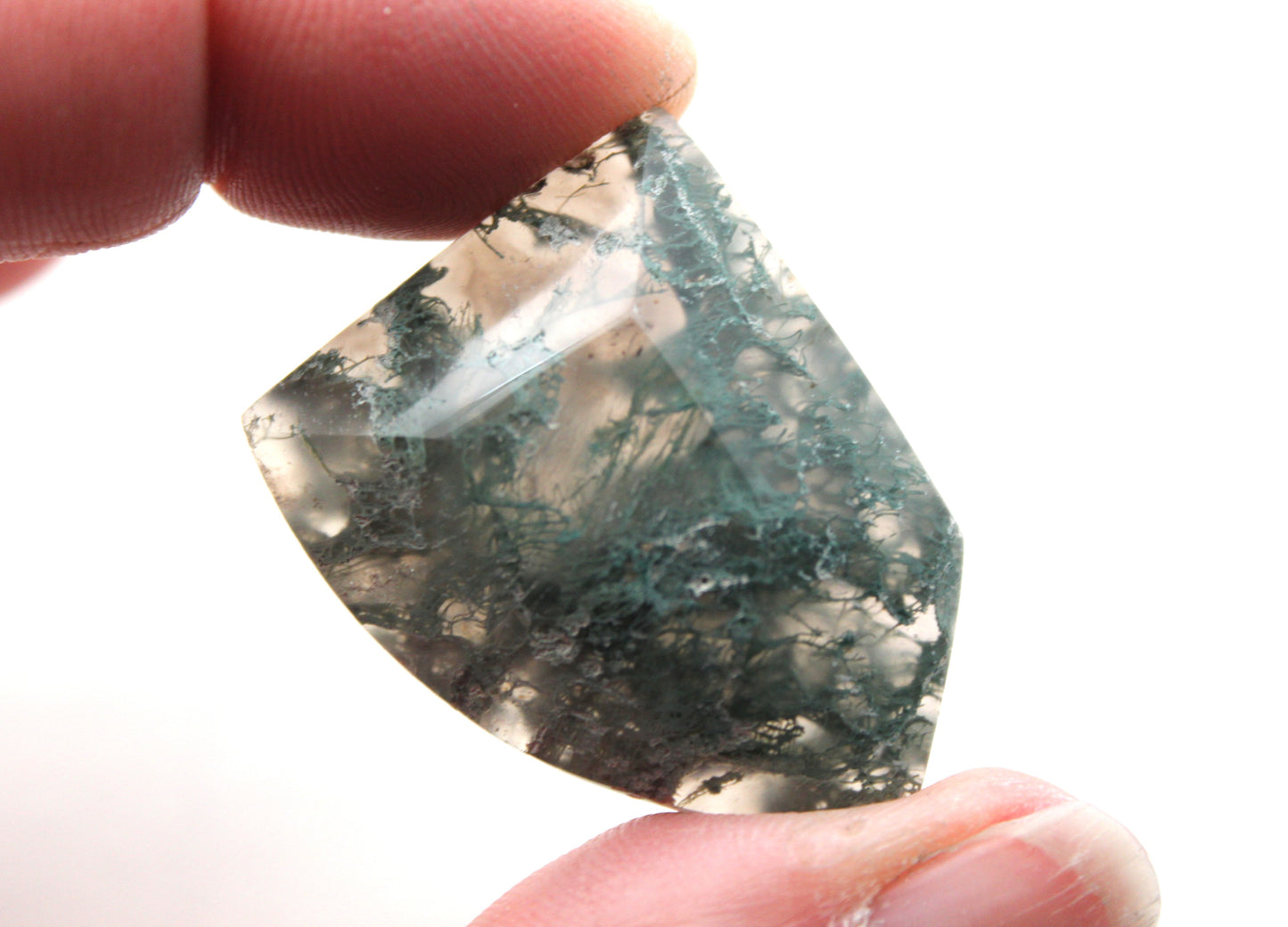Pierre précieuse en forme de bouclier en forme de cabochon d'agate mousse verte