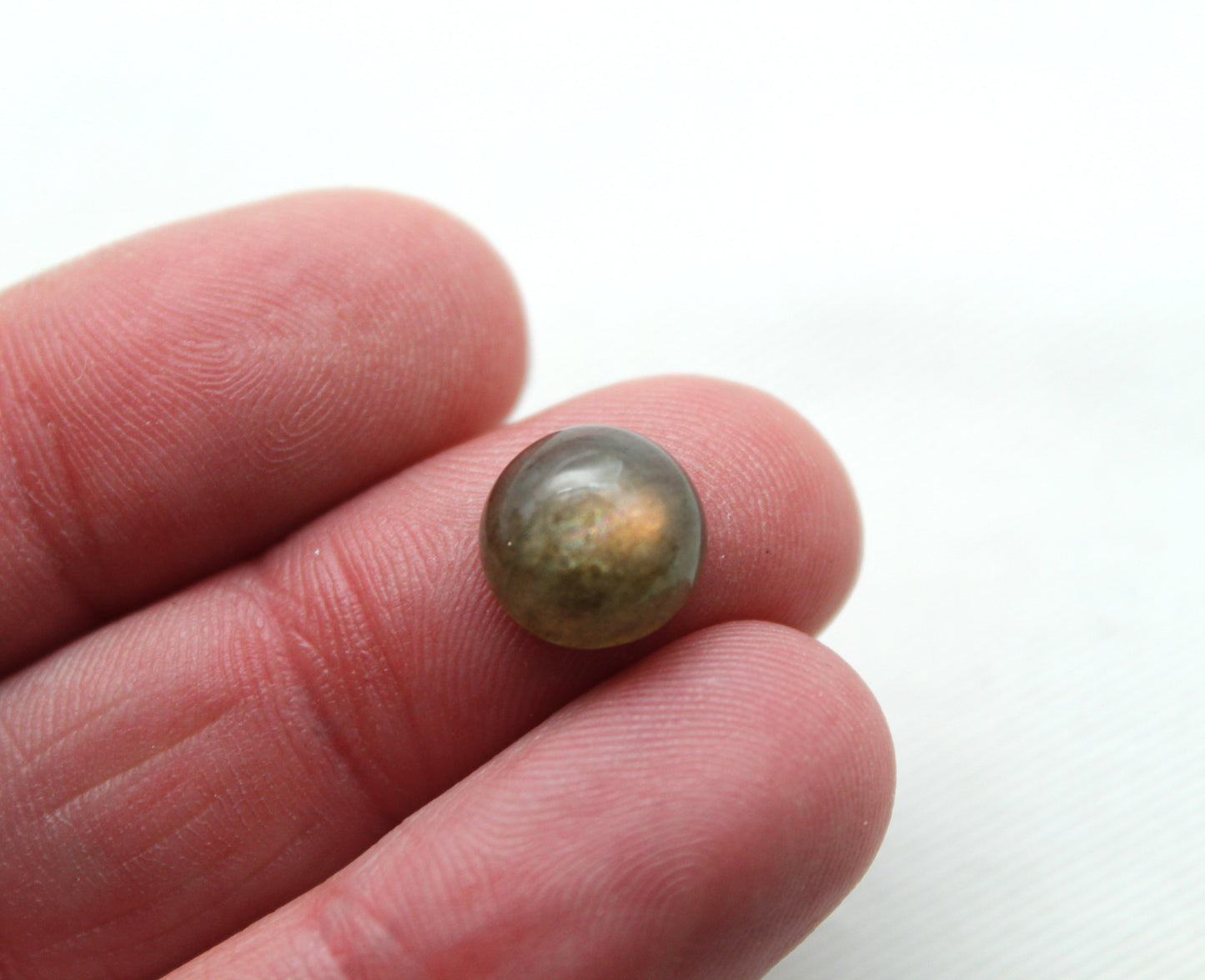 DEUX cabochons Labradorite ronds 10MM Gemme bleue