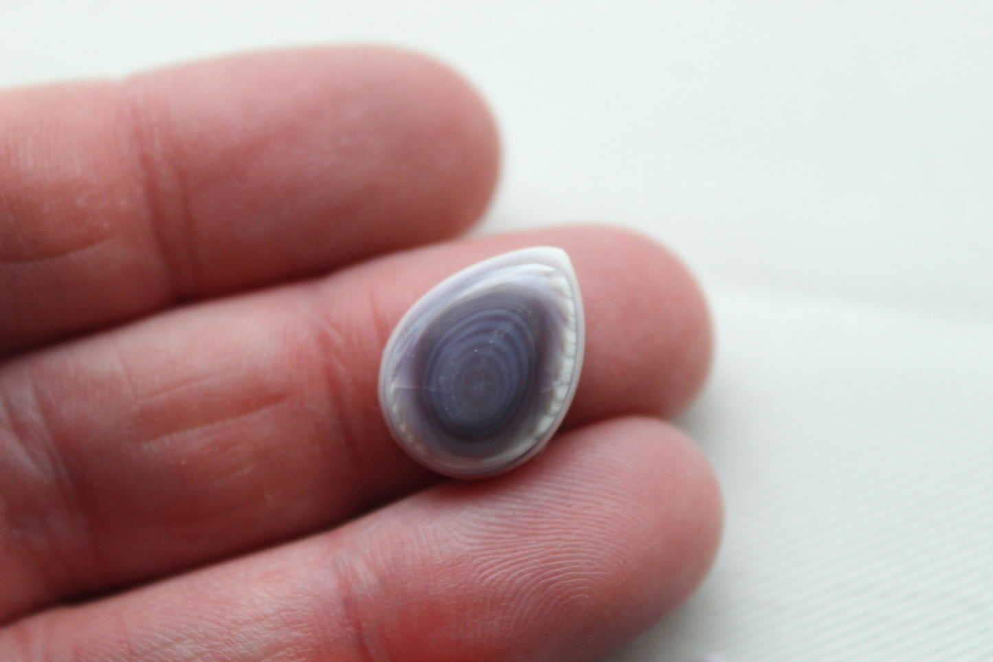 TWO Wampum Quahog Shell Pear 12X16MM purple