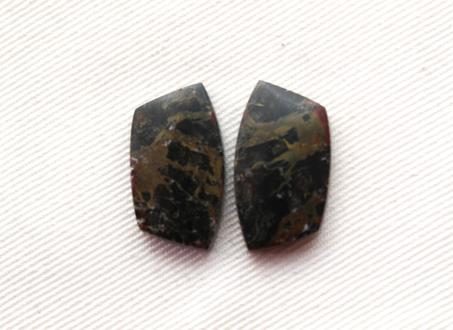 Small Petrified Wood Cabochon Pair natural gemstones