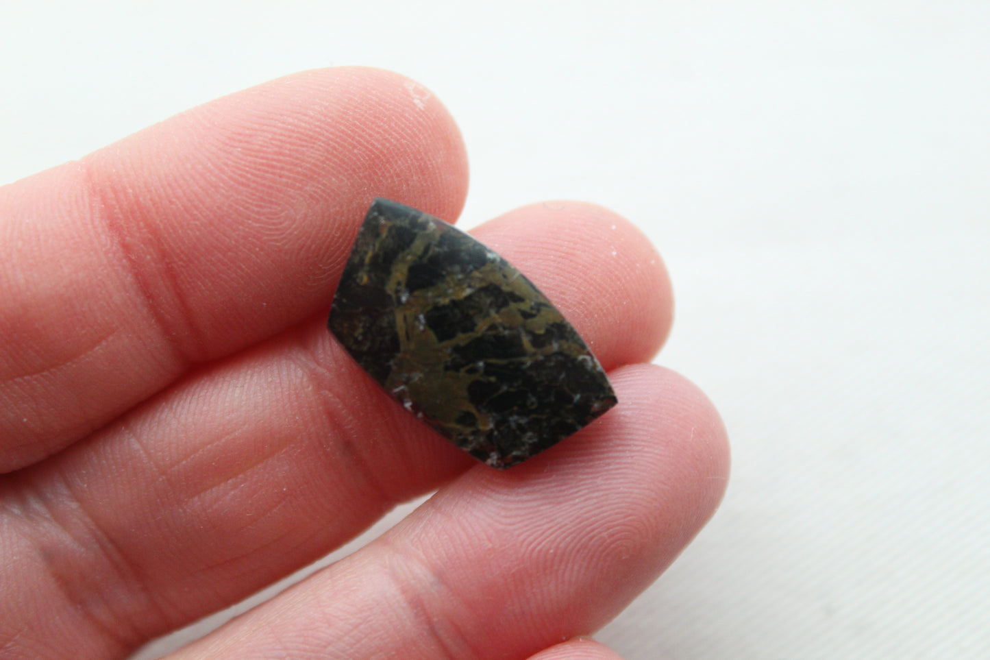 Small Petrified Wood Cabochon Pair natural gemstones