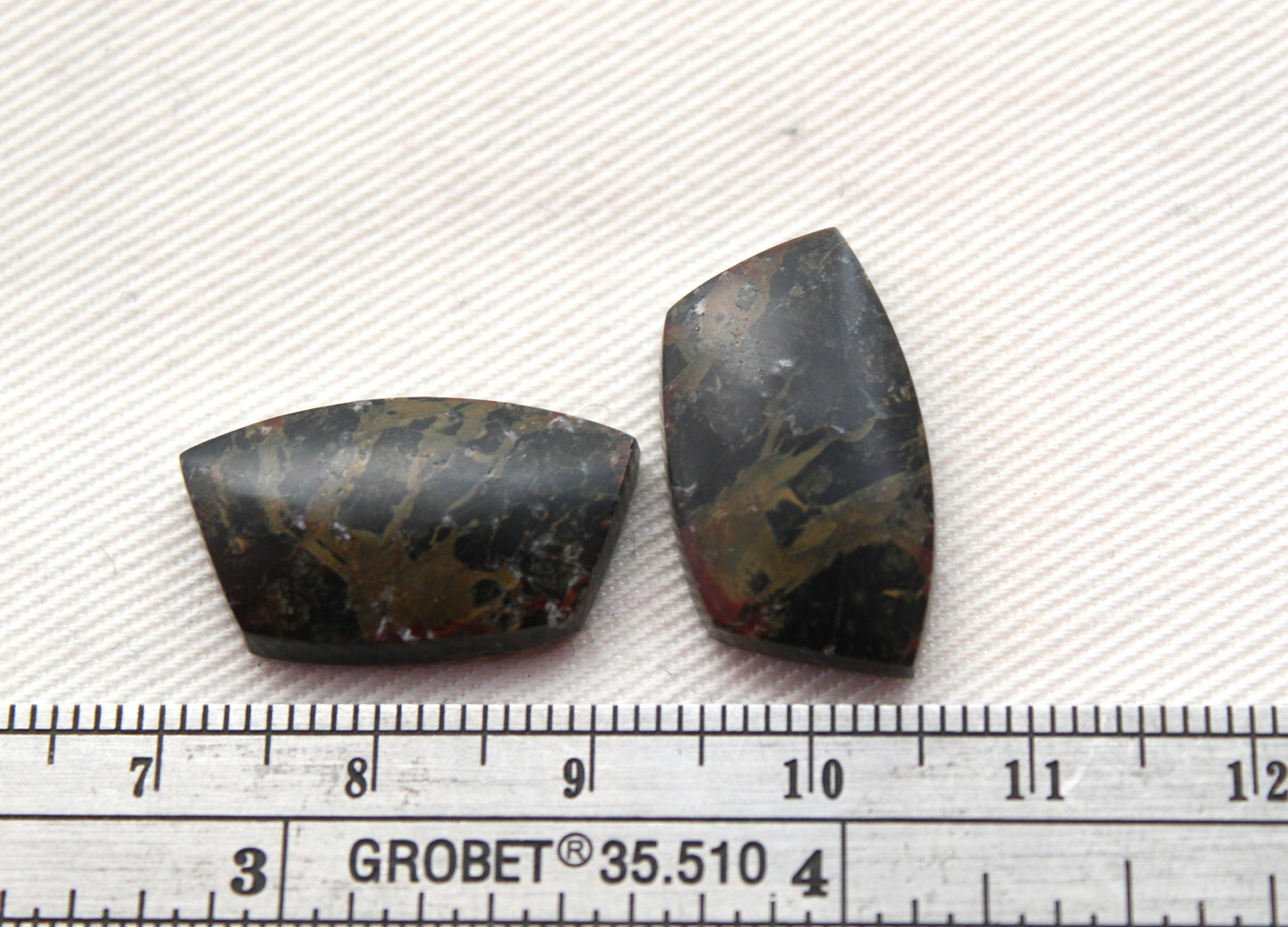 Small Petrified Wood Cabochon Pair natural gemstones