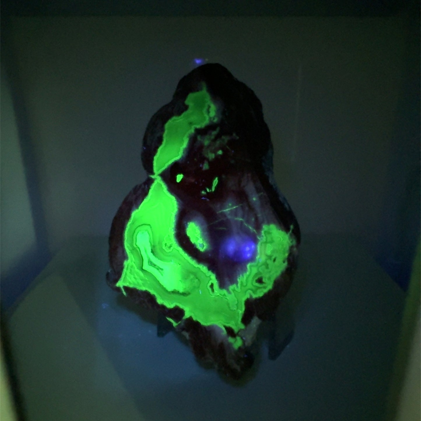 Thunder egg fluorescent Nodule polished Half nodule