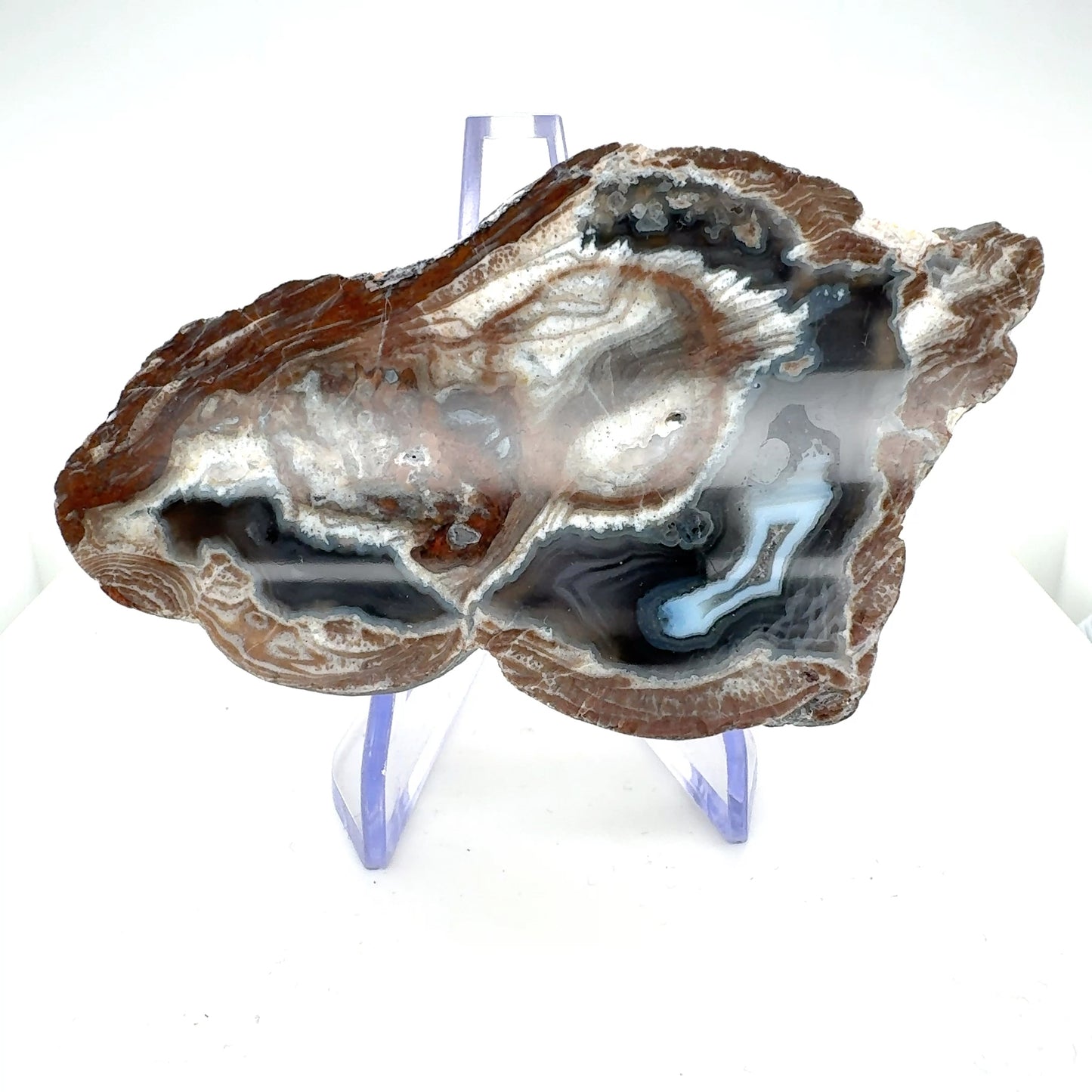 Thunder egg fluorescent Nodule polished Half nodule