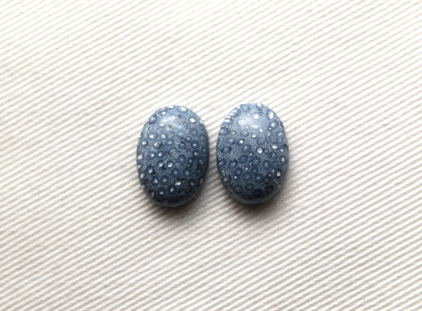 Pierre précieuse de corail éponge bleu 15X20MM ovale