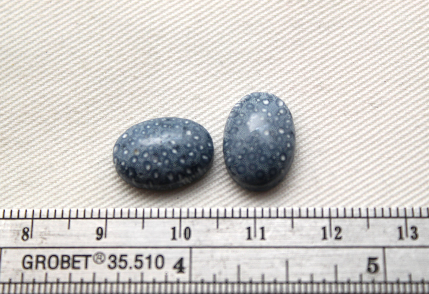 Pierre précieuse de corail éponge bleu 15X20MM ovale