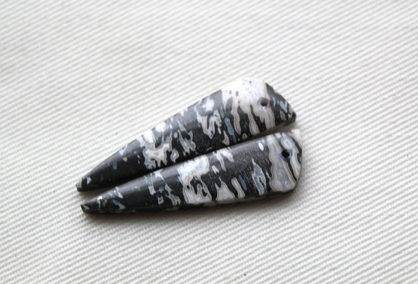 Corail Fossilisé Paire de pierres gemmes cabochon gris beige naturel