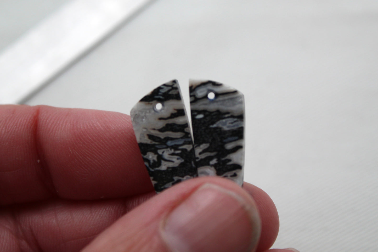 Corail Fossilisé Paire de pierres gemmes cabochon gris beige naturel