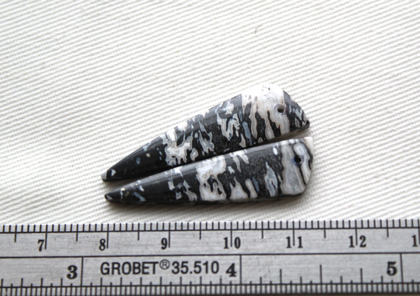 Corail Fossilisé Paire de pierres gemmes cabochon gris beige naturel
