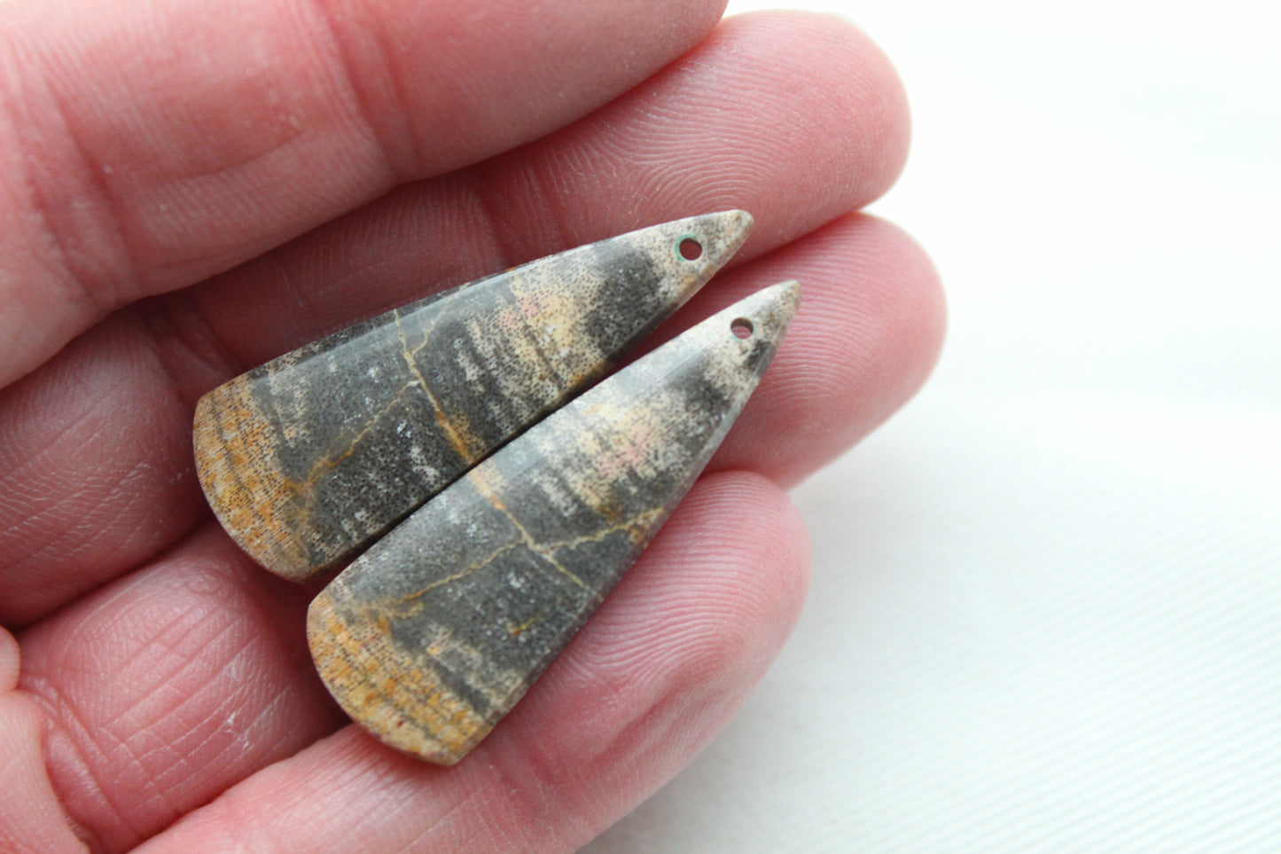 Nice pair of Petrified Wood Cabochons DRILLED