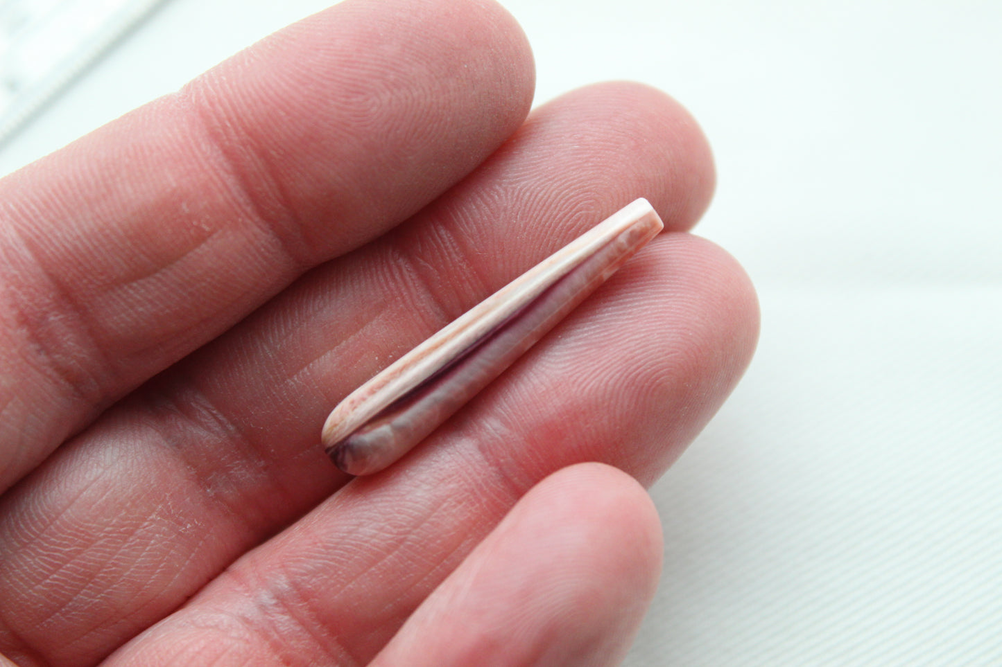 TWO Lion Paws Shell drop 6x30MM top drilled