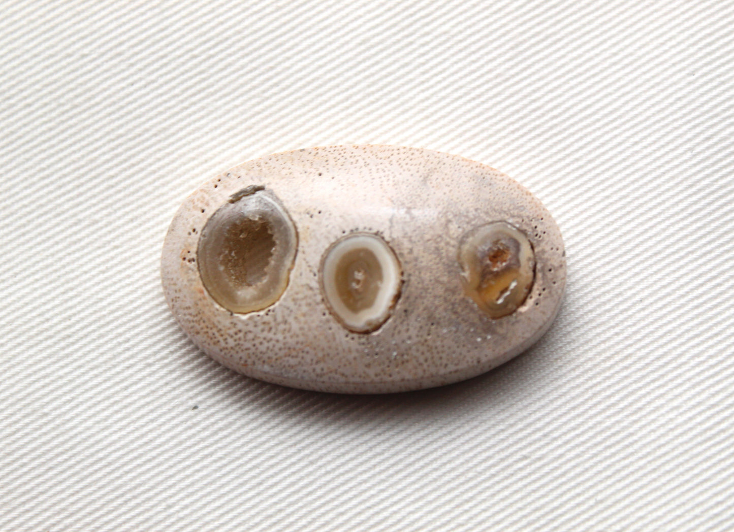 Worm Hole Petrified Wood Cabochon gemstone natural Oval