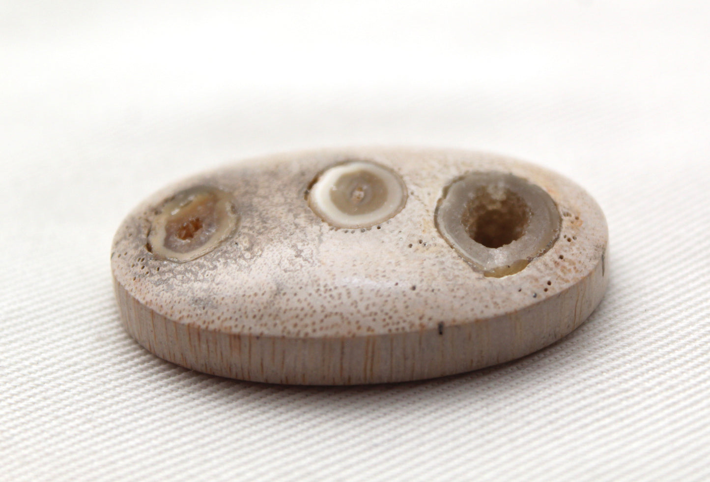 Worm Hole Petrified Wood Cabochon gemstone natural Oval